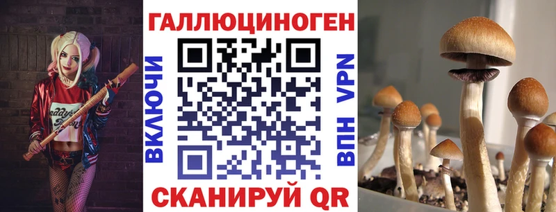 Псилоцибиновые грибы Magic Shrooms  мега зеркало  Белозерск  что такое  